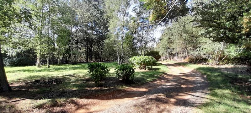 0 Bedroom Property for Sale in Hogsback Eastern Cape
